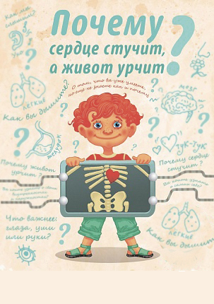 Сердце на животе беременной. Точки выслушивания сердцебиения плода. Почему сердце колотится быстро. Почему сердце бьётся. Почему живот стучит как сердце.